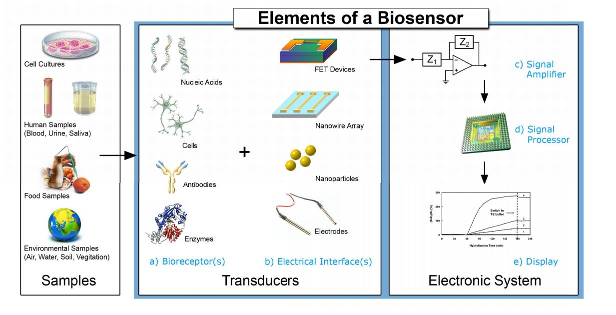 Hasil gambar untuk bioelectronics and biosensors